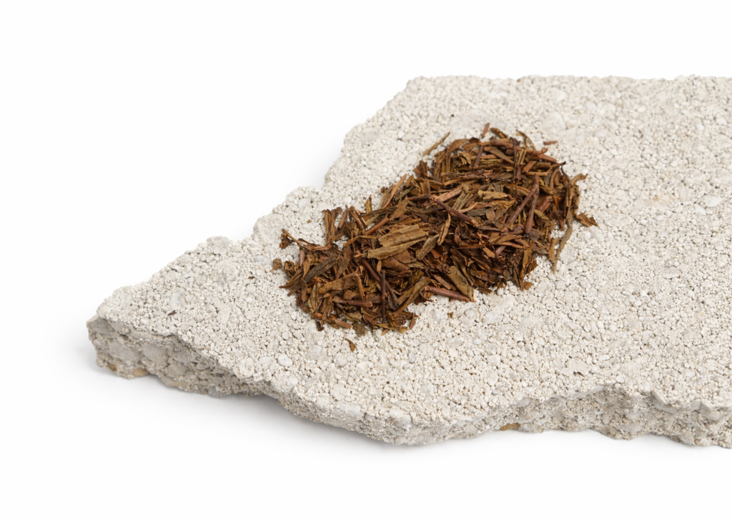 Kyoto Tobacco